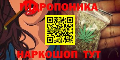 мдма Моздок
