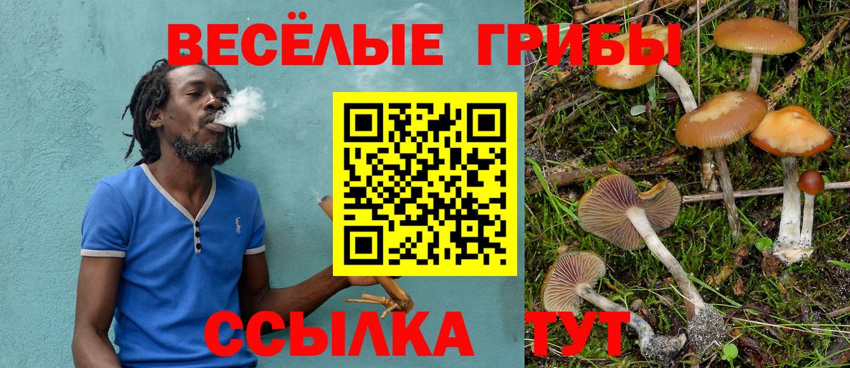 как найти наркотики  Псилоцибиновые грибы ЛСД  Вход с VPN  Псилоцибиновые грибы MAGIC MUSHROOMS  Туймазы 
