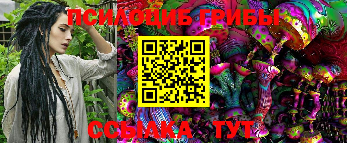 Галлюциногенные грибы Psilocybine cubensis Туймазы